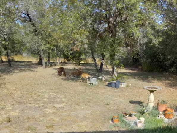 895 GAYLE LN LOT 40, Poteet, TX 78065