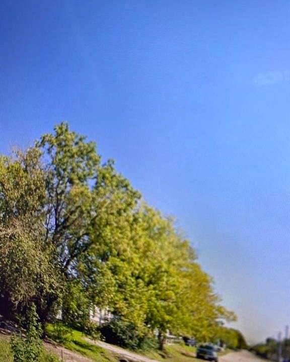 2nd image of 7819 Fields St