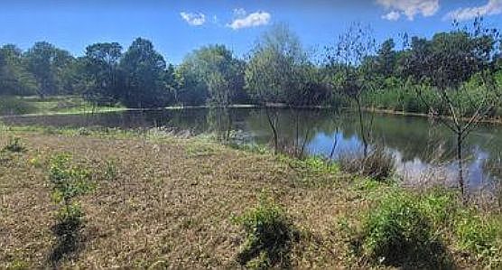 1st image of 125 Horseshoe Dr