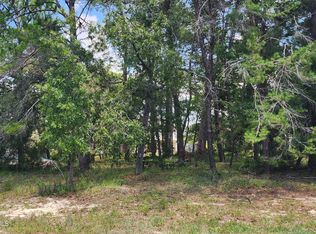 12187 Ronald St, Spring Hill, FL 34609