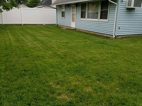 The backyard