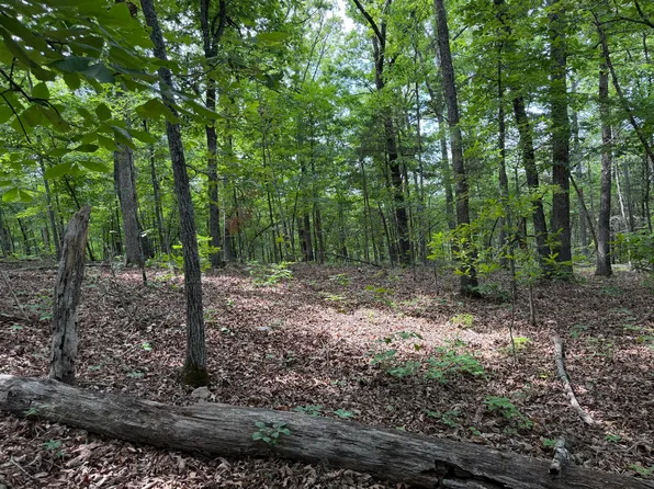 000 Moore Bend Road, Cedarcreek, MO 65627