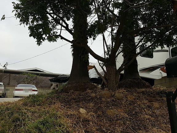 3rd image of 1742 Bonneyville Dr