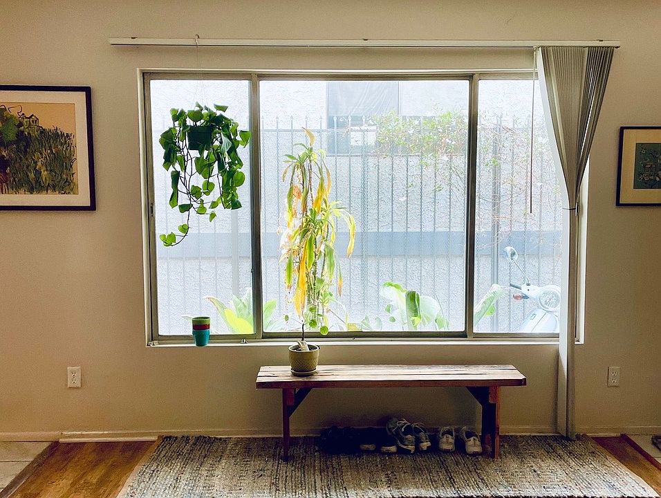 Big window with lots of natural sunlight