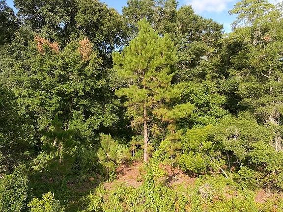 4th image of 2057 8TH AVENUE LOT 10