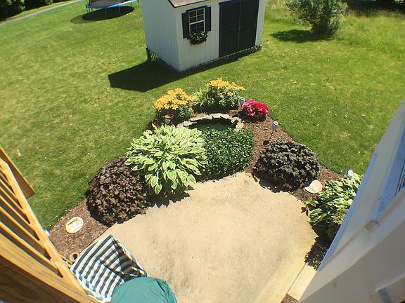 Back patio and shed