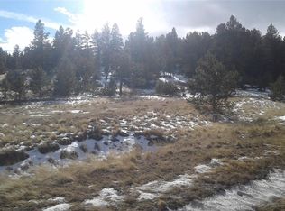 782 Summit Rd, Hartsel, CO 80449