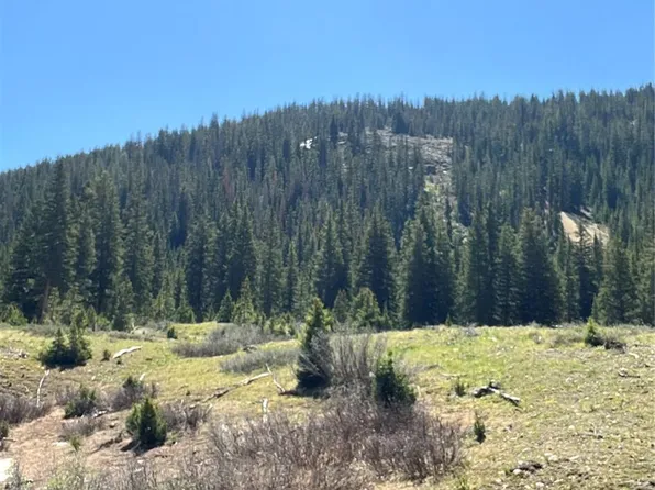 2711 Forest Queen MC, Buena Vista, CO 81211