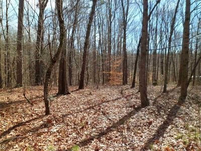 7318 Sloan Stephens Rd, Alto, GA, 30510