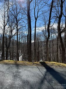 49 Wedgewood Ter, Black Mountain, NC, 28711