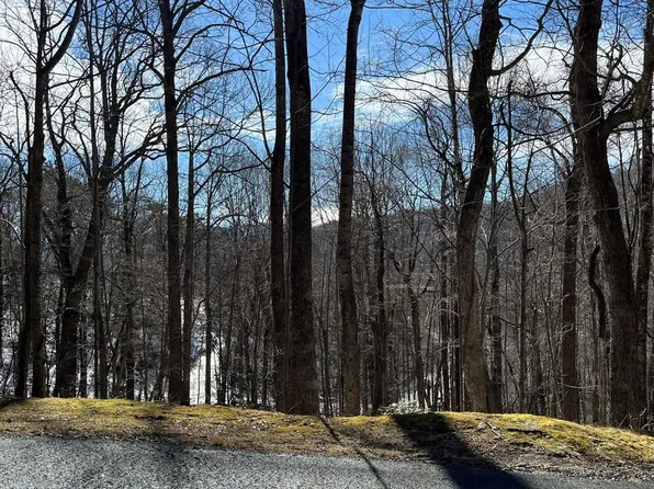 49 Wedgewood Ter, Black Mountain, NC 28711