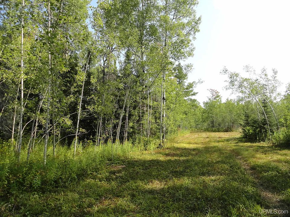 Goldberg, Ewen, MI 49925 Zillow