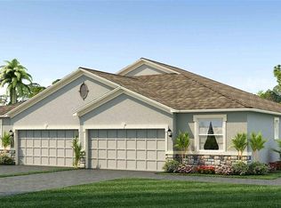 31480 Ancient Sage Rd, Wesley Chapel, FL 33545