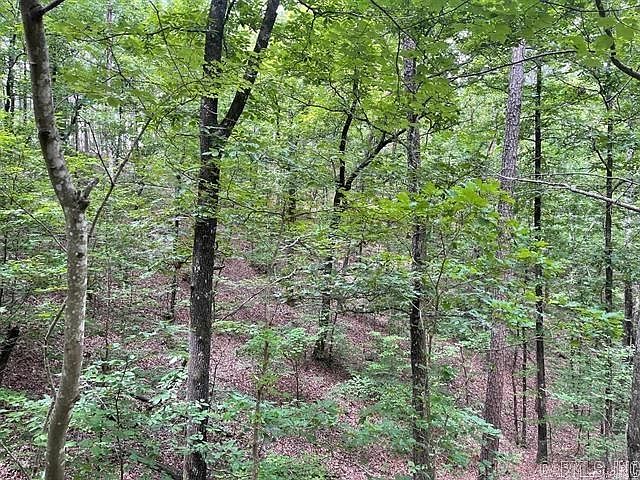 2nd image of Polk Road 1 Lot 61