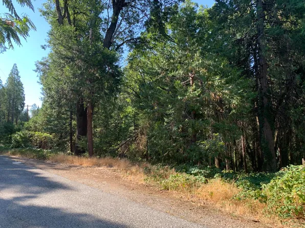 11499 Lower Pine Hill Dr, Grass Valley, CA 95945