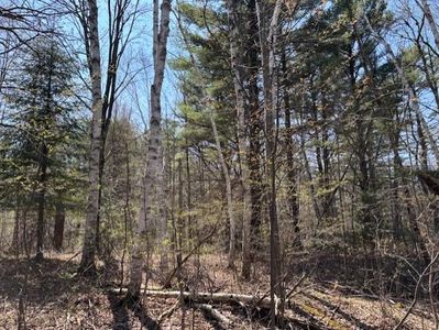 Cottrell Ave, Irma, WI, 54442