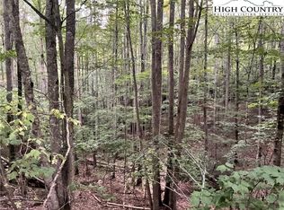145 Raccoon Road, Beech Mountain, NC 28604