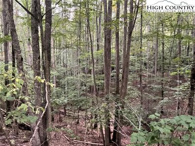 145 Raccoon Road, Banner Elk, NC, 28604