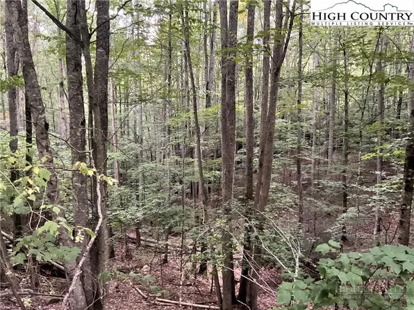 145 Raccoon Road, Beech Mountain, NC 28604