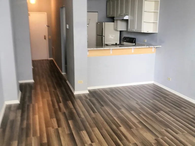 780 S Federal St #706 — Photo 6
