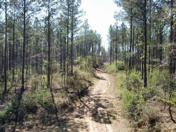 Saint Anne Rd, Carthage, MS 39051