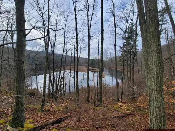 000 State Route 28, Oneonta, NY 13820