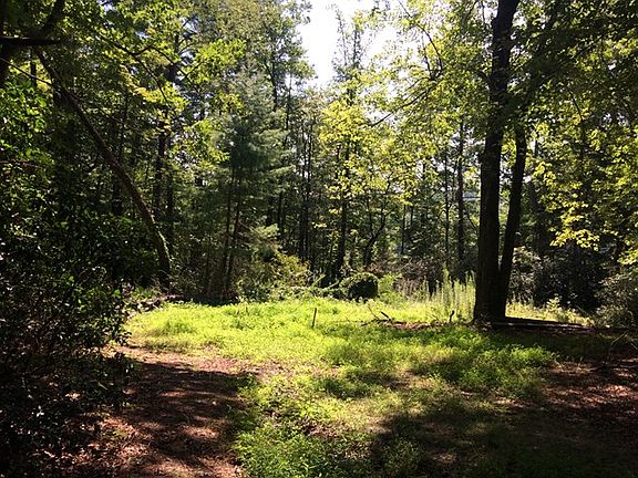 2nd image of 445 Swiss Pine Lake Dr