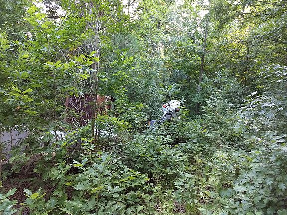 2nd image of 537 Lake Pointe Dr