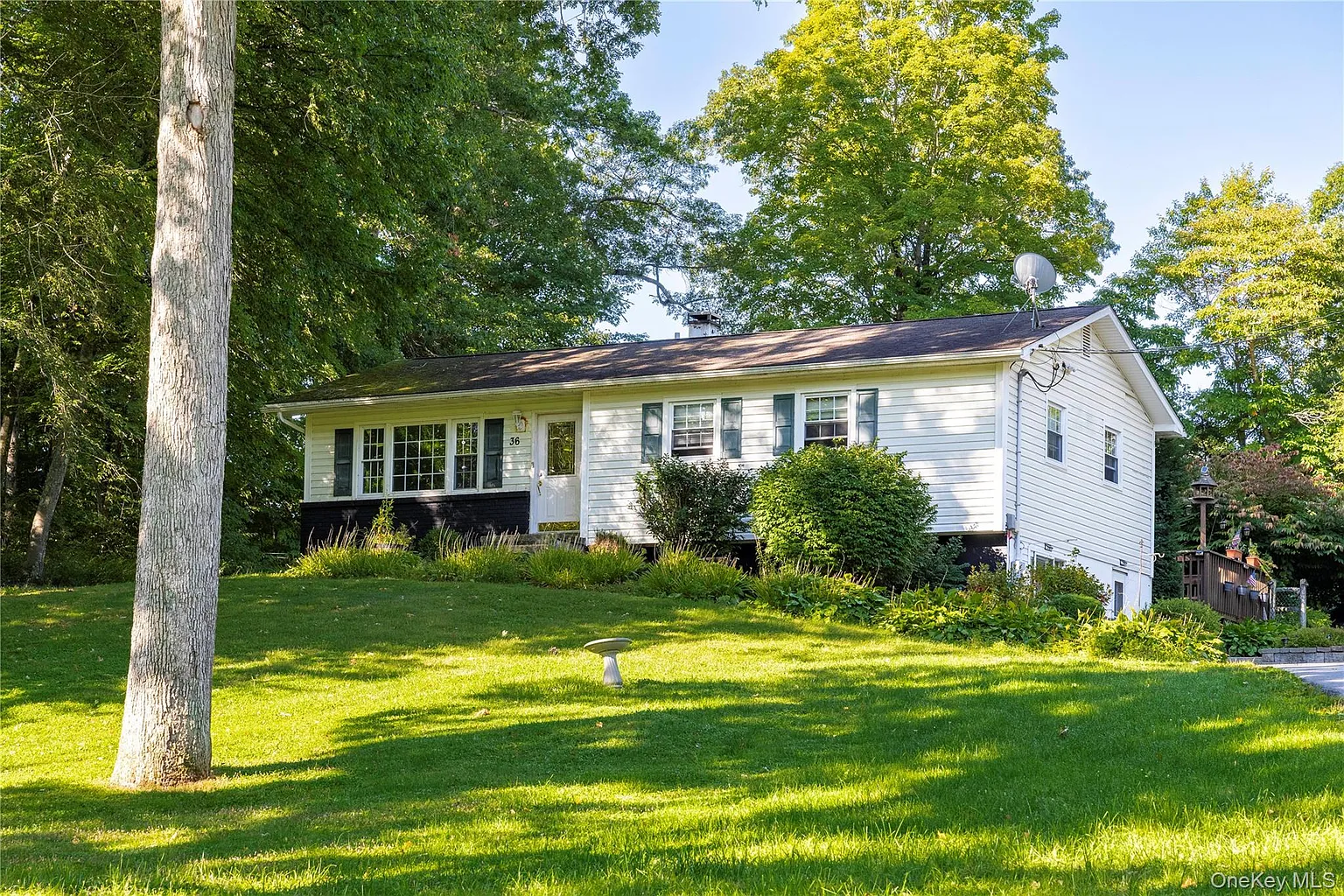 36 Julie Drive photo 1