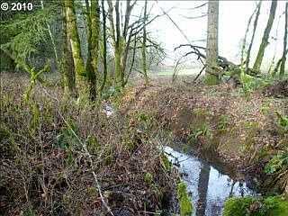 3rd image of 4094 SE Amity Dayton Hwy