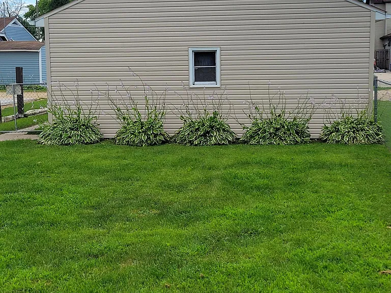 Fenced in Back Yard.