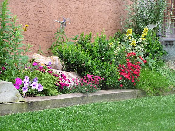 Rear Perennial Garden