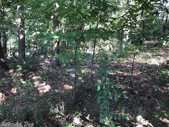 3rd image of Westport Loop