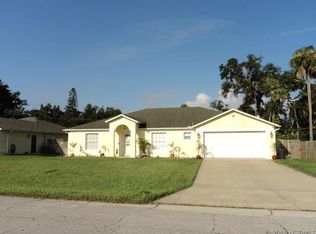 2912 Kumquat Dr, Edgewater, FL 32141