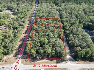 346 E Withlacoochee Trl, Dunnellon, FL 34434