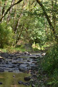 439 Oxbow Rd, Woodland, WA, 98674