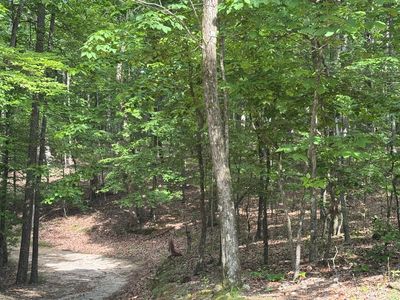 0 W Watts Rd, Ringgold, GA, 30736