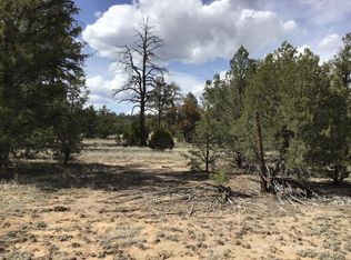 LOT 17 Davids Rock Rd, Ramah, NM 87321