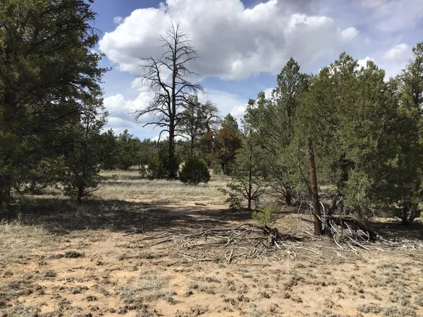 LOT 16 Davids Rock Rd, Ramah, NM 87321