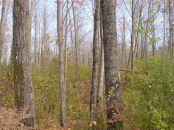4th image of 10 Acres on Bridge Lane