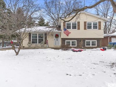 631 Hackberry Rd, Chatham, IL, 62629