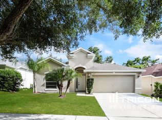 1143 Emerald Hill Way, Valrico, FL 33594
