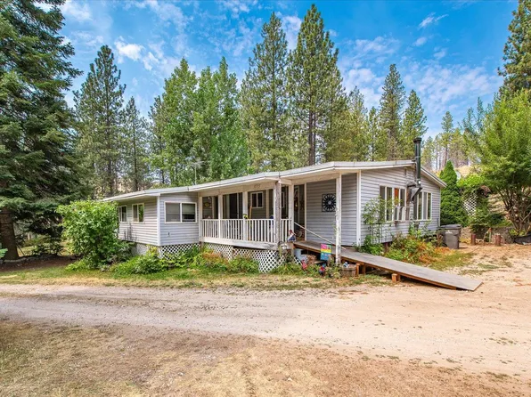 5125 Rail Canyon Rd, Springdale, WA 99173