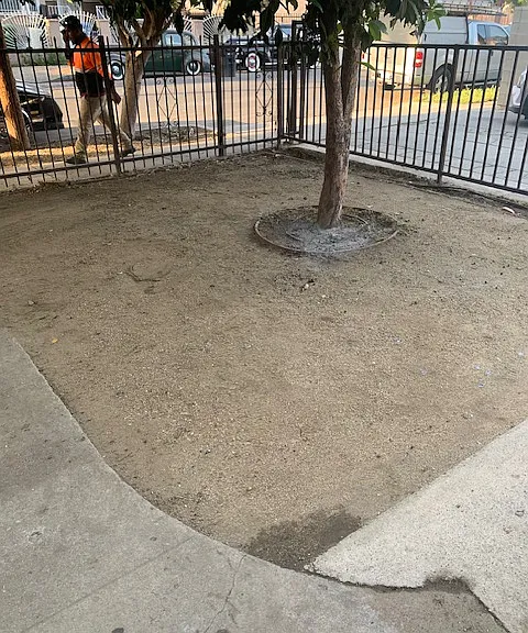 Front Yard