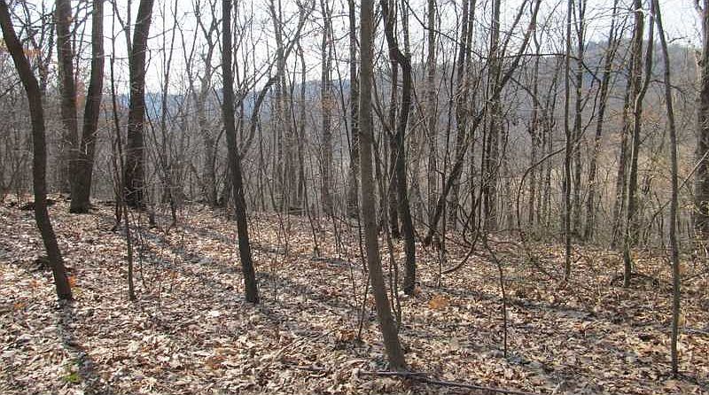 1st image of 336 Hillville