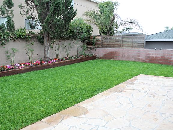 Patio/Backyard