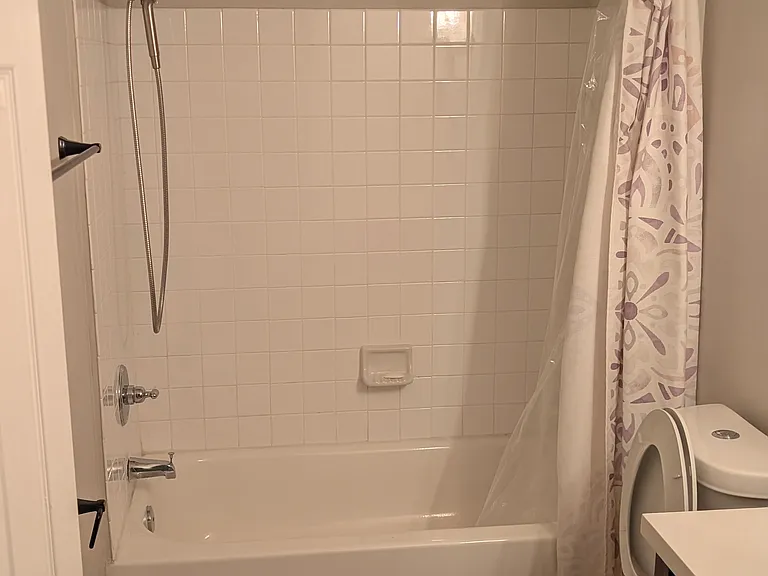 Full guest bathroom