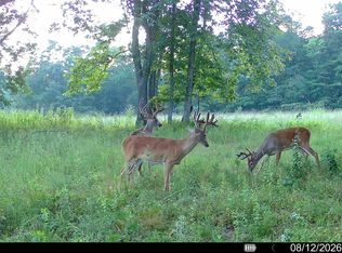 1047 Nelson Harris Rd, Evensville, TN 37332