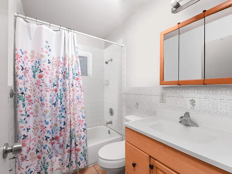 Hall bathroom