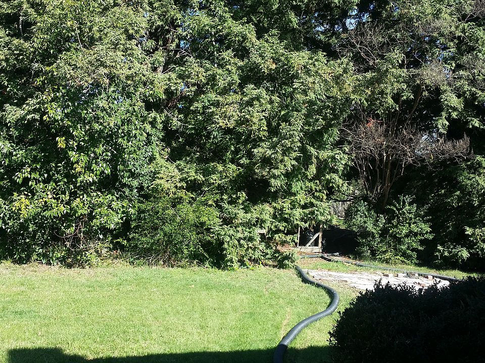 2nd image of 7935 Hanson Ave